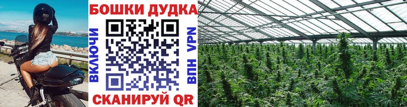 Купить Alpha-PVP Кокаин Меф мяу мяу Каннабис Тырныауз