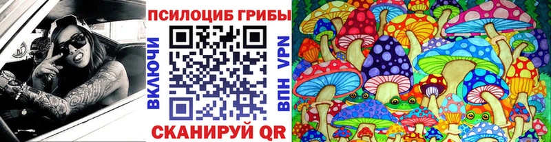 Галлюциногенные грибы Psilocybine cubensis  Купить где  Тырныауз 